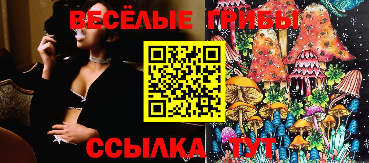 Галлюциногенные грибы Cubensis Углич
