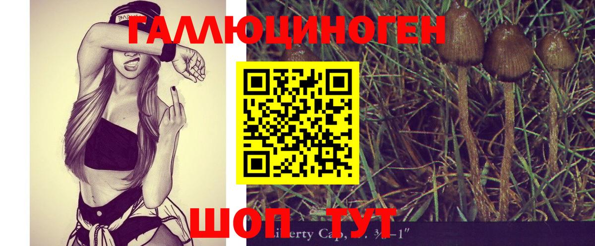 Псилоцибиновые грибы GOLDEN TEACHER  Галлюциногенные грибы мухоморы  Углич  Вход с VPN 